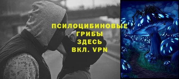 а пвп мука Осинники