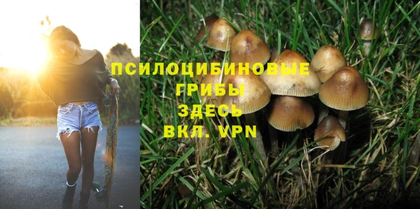 амф Остров